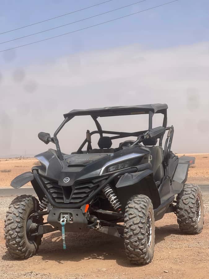 Buggy Marrakech Desert and Palmerie - Should you book Buggy Marrakech Desert and Palmerie?