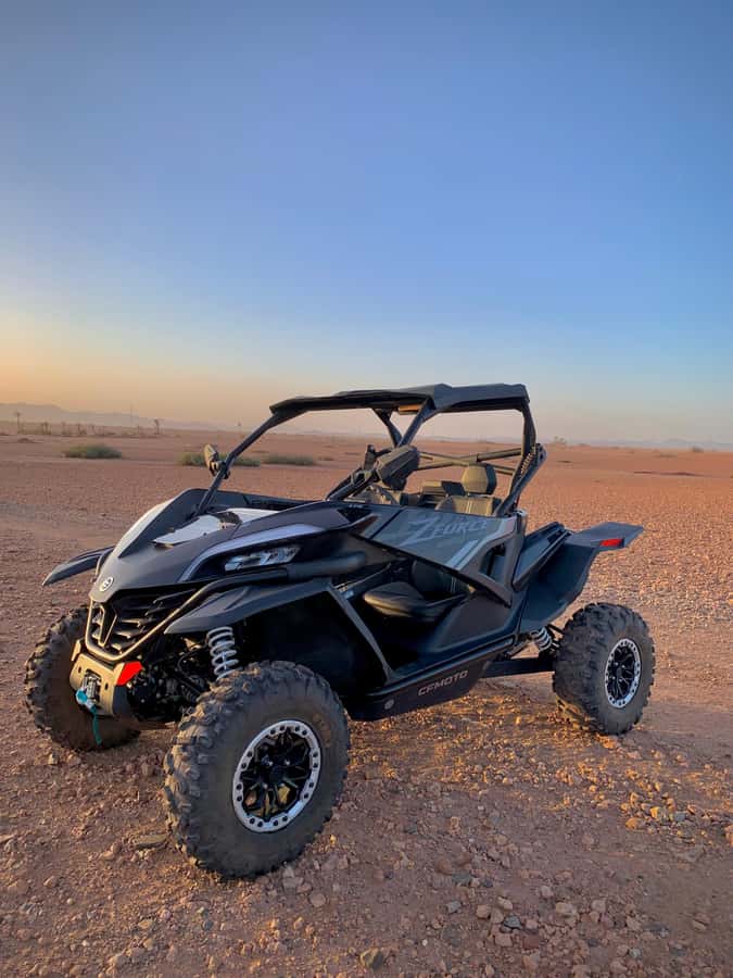 Buggy Marrakech Desert and Palmerie - Hidden oasis stops, Berber villages, and Atlas Mountain viewpoints