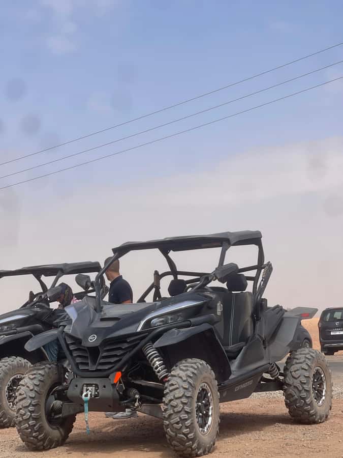 Buggy Marrakech Desert and Palmerie - Who should book this buggy and Palmerie trip, and who should skip it