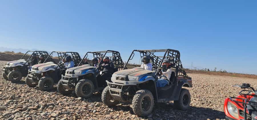 Buggy ride at the Palm Grove and Desert with swimming pool - Key Highlights You’ll Care About