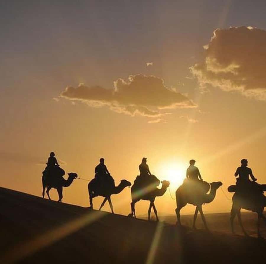 Buggy ride with camels and dinner show in agafay desert - The buggy ride, how you get the adrenaline and still stay in control