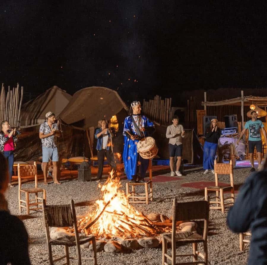 Buggy ride with camels and dinner show in agafay desert - Price and value, what $63 buys in the real world