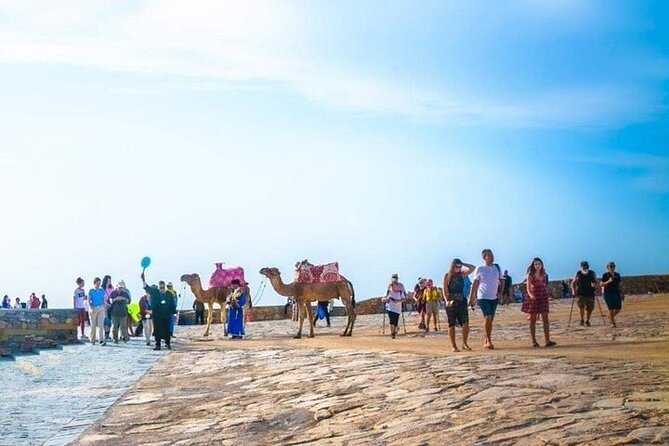 Cable Car Experience and Agadir City Tour. - Stop 3: House of Argan Oil and the Berber Women Process