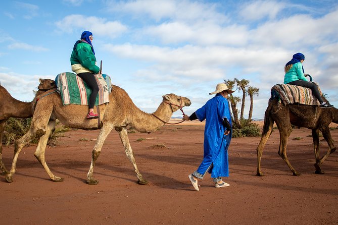 Camel and Quad Biking Tour from Marrakech - Key Highlights You’ll Actually Care About