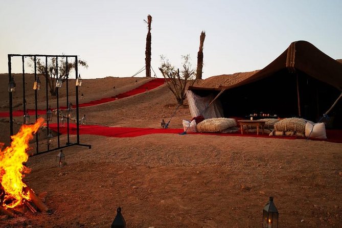 Camel ride and dinner Agafay desert - Key highlights you can plan around