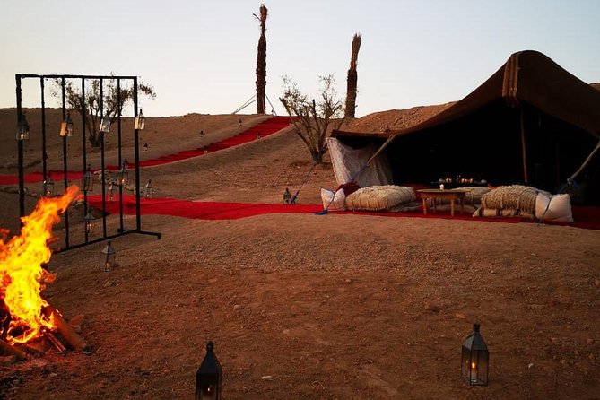 Camel ride and magical dinner in Agafay desert - The Camel Ride at Agafay: Sunset Views and What the Ride Feels Like
