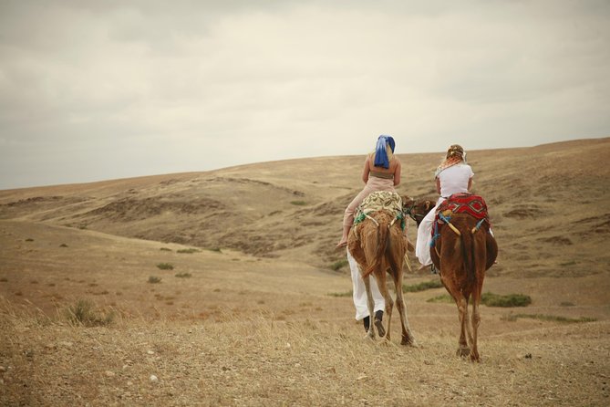 Camel ride and magical dinner in Agafay desert - Final Verdict: Should You Book This Camel Ride and Magical Dinner?