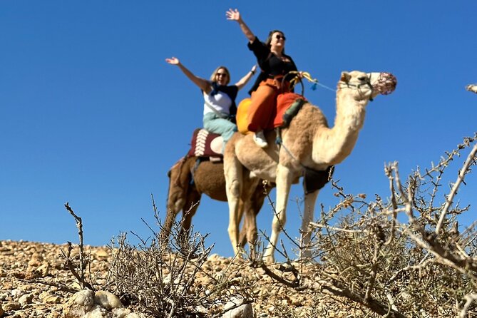 Camel ride and magical dinner in Agafay desert - From Marrakech Pickup to Agafay: The Part You Should Care About