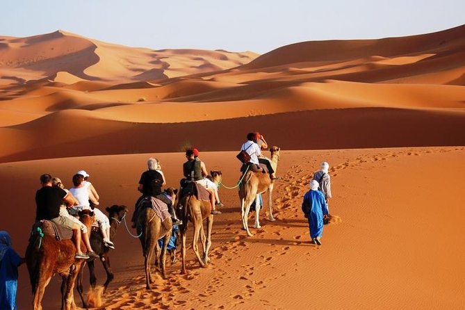 ✅ Camel Ride and Overnight in Sahara Desert Camp - Camel Ride To Erg Chebbi: The Part You Will Remember