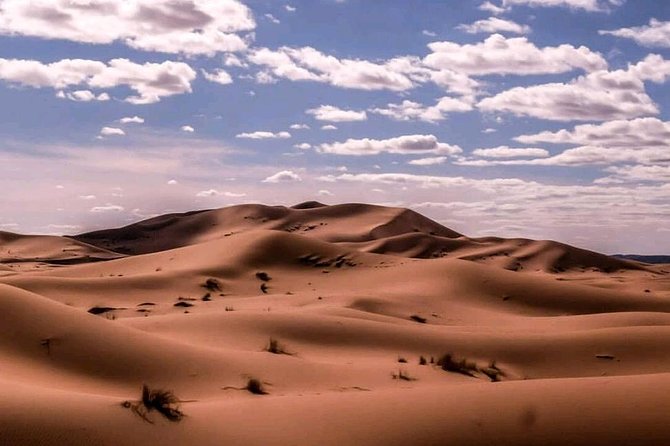 ✅ Camel Ride and Overnight in Sahara Desert Camp - Tagine Dinner, Mint Tea, and Drums by the Fire