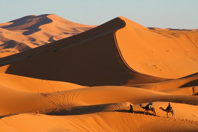 ✅ Camel Ride and Overnight in Sahara Desert Camp - Night in a Private Tent, or Outside Under Stars
