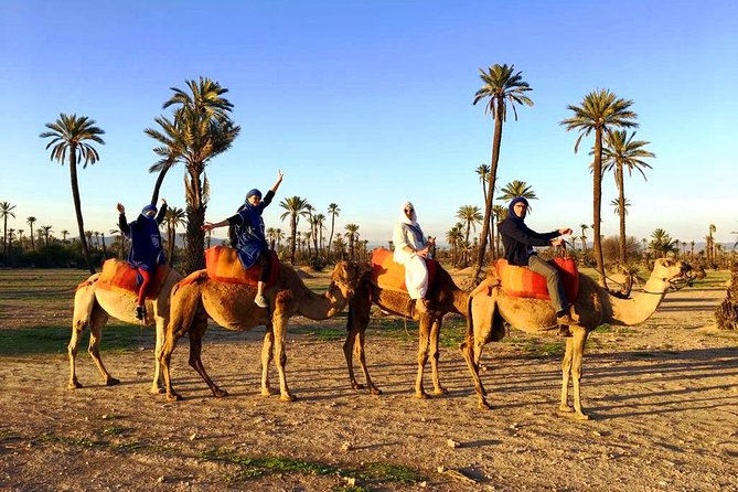 Camel Ride and Spa Treatment in Marrakech - Traditional Tea in a Tent: The Pause That Makes the Day Feel Human