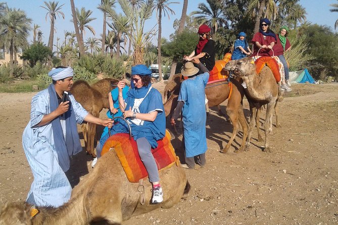 Camel ride at sunset in Marrakech palm grove - Sunset Camel Ride in Marrakech Palmeraie: What You Really Get