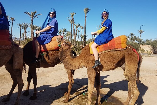 Camel Ride at the Palm Groves in Marrakech - The Camel Ride: About One Hour in the Palm Grove Area