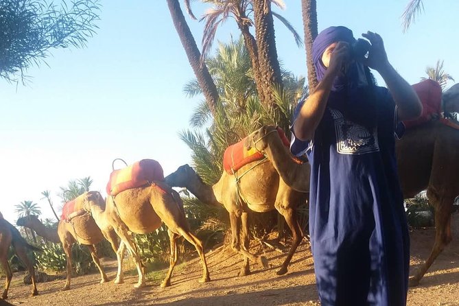 Camel Ride at the Palm Groves in Marrakech - Mint Tea With Locals: The Hospitality Moment