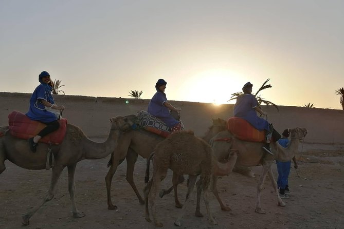 Camel Ride at the Palm Groves in Marrakech - Duration and What Fills the Gaps
