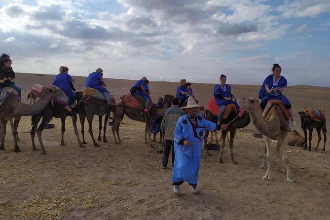 Camel Ride at the Palm Groves in Marrakech - Price and Value: What $23.32 Gets You