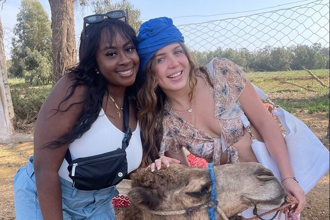 Camel ride in agadir at sunset with barbecue and couscous - Key Highlights You’ll Care About