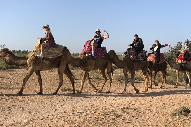 Camel ride in agadir at sunset with barbecue and couscous - Photos and the Small Extra Costs, How to Handle Them Calmly