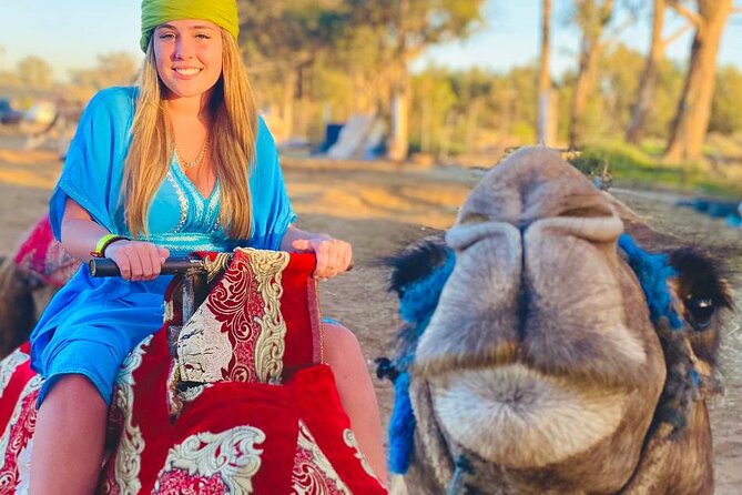 Camel ride in agadir at sunset with barbecue and couscous - Price and Value, Does $34.89 Make Sense for This Evening?