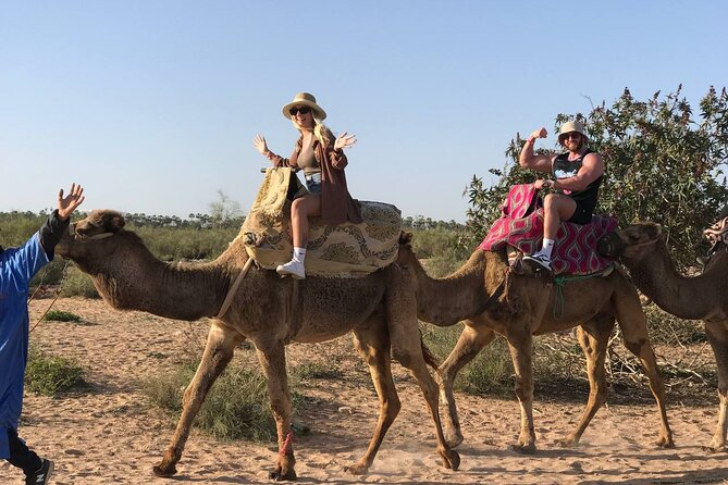 Camel ride in agadir at sunset with barbecue and couscous - The Route Highlights, Aghroud Forest, King’s Palace Views, and Flamingos