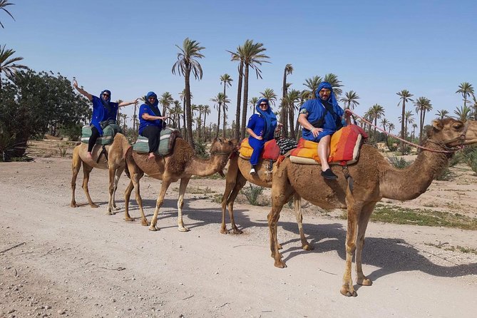 Camel Ride in Marrakech desert palmgrove - Key points before you go