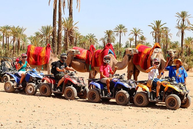 Camel Ride in Marrakech desert palmgrove - Getting to the palmgrove with Marrakech hotel pickup and A/C comfort