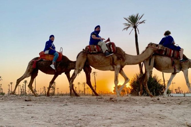Camel Ride in Marrakech desert palmgrove - What’s included, what isn’t, and how to plan your own comfort