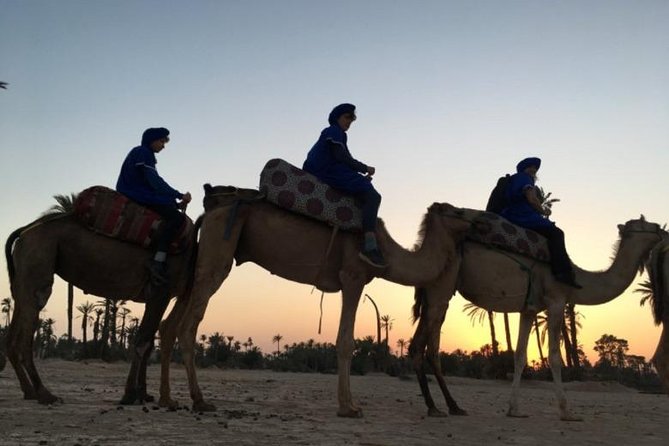 Camel Ride in Marrakech desert palmgrove - Price value at $23.23, where the money goes