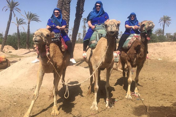 Camel Ride in Marrakech desert palmgrove - The camel ride route, dunes and the palm grove just outside Marrakech