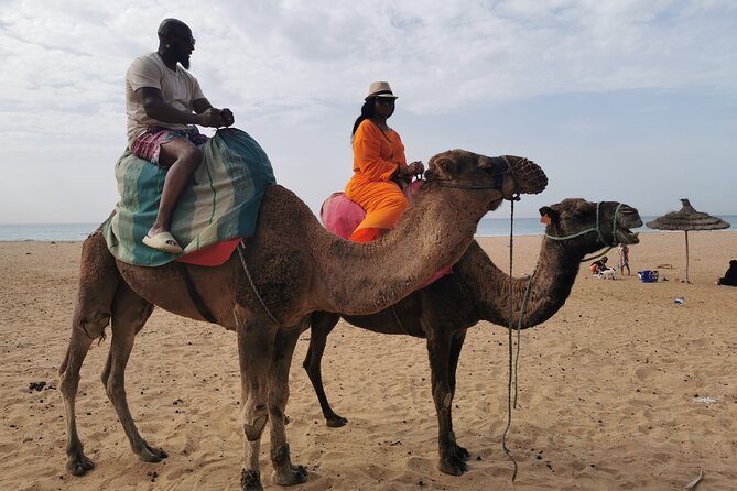 Camel ride in Tanger - Hercules Caves Stop: What You Need to Know Before You Pay