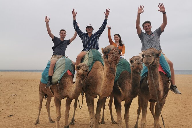 Camel ride in Tanger - The 30-Minute Camel Ride: How It Feels and How to Prepare