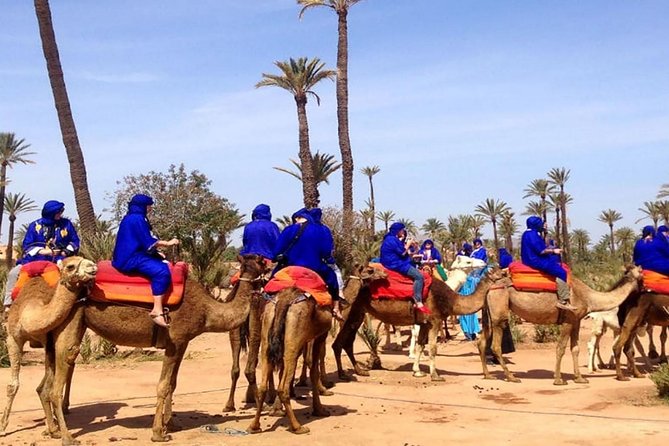Camel Ride in the Palmeraie of Marrakech - Getting There With Door-to-Door Pickup in Marrakech