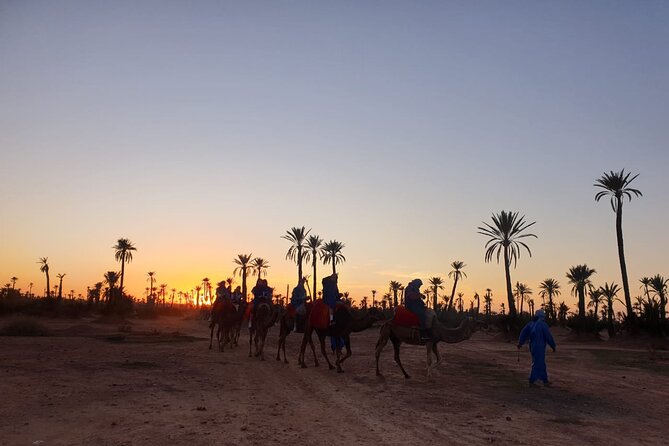Camel ride Marrakech - Getting to Agafay: Pickup, meeting point, and how the day starts