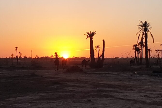 Camel ride Marrakech - Guides and photo stops: how the experience stays friendly