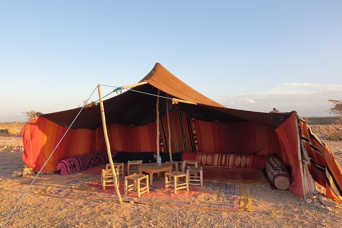 Camel ride Marrakech - Price and value: is $19.70 a fair deal?