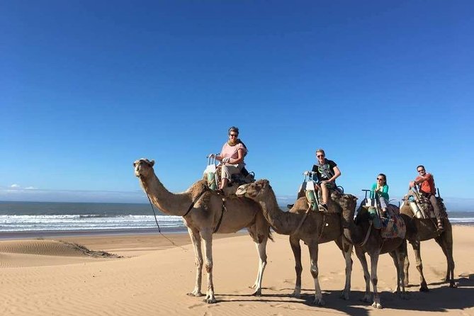 Camel Ride on the Beach of Essaouria - Why this camel ride feels like more than a photo stop
