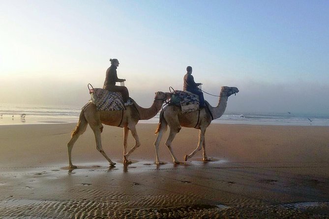 Camel Ride on the Beach of Essaouria - Camels you can actually relax on: the rhythm, the saddle, the helmet