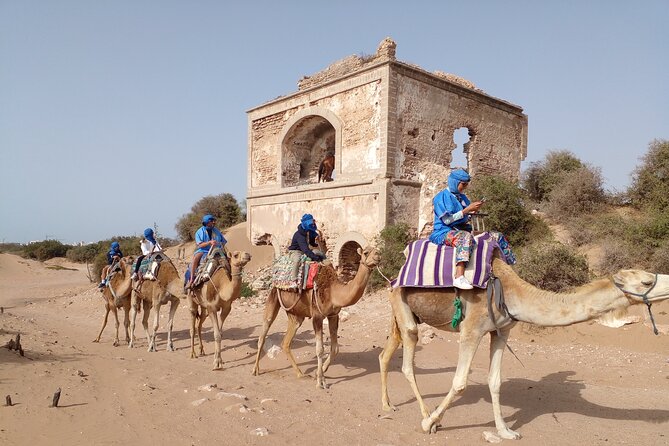 Camel ride or quad bike ride.. pick up, drop off. including - Ocean Vagabond Pickup and Return: Getting There Without Stress