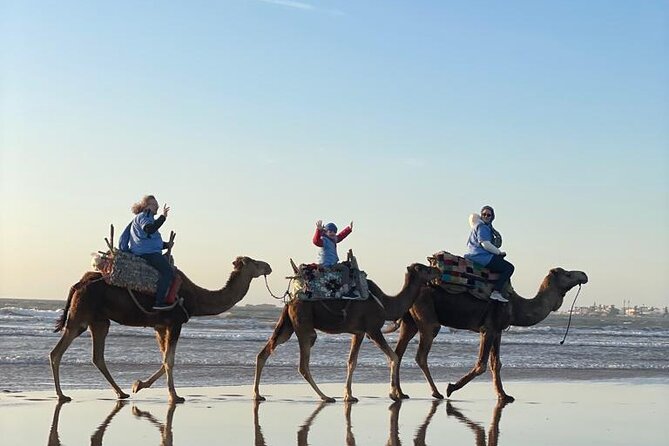 Camel ride or quad bike ride.. pick up, drop off. including - On the Camel: What the Ride Feels Like and How Guides Help