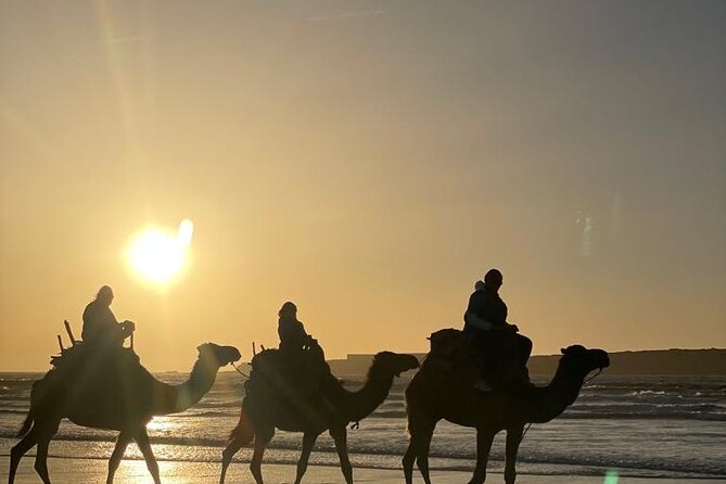 Camel ride or quad bike ride.. pick up, drop off. including - Price and Value: Is $22.10 Worth It in Essaouira?