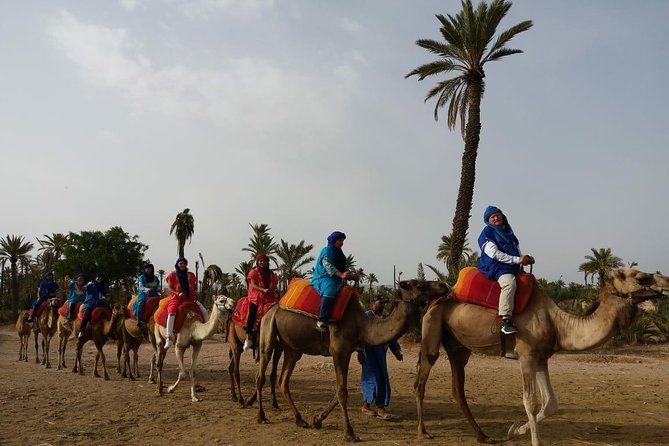 Camel Ride & Quad Bike tours in the palm grove of Marrakech - Key highlights to know before you go