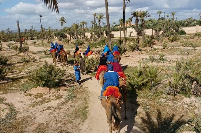 Camel Ride & Quad Bike tours in the palm grove of Marrakech - Marrakech palmeraie, camel first, quad second