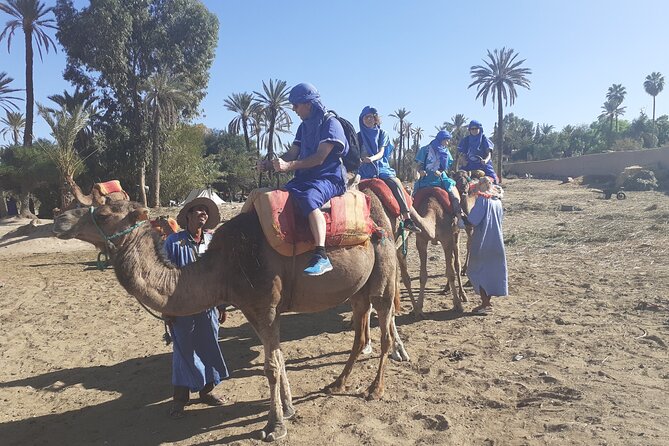 Camel Ride & Quad Bike tours in the palm grove of Marrakech - Guides, private format, and what “private” means for you