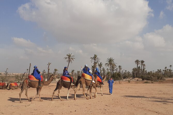 Camel Ride & Quad Bike tours in the palm grove of Marrakech - Camel riding in Marrakech palms: what to expect and how to enjoy it