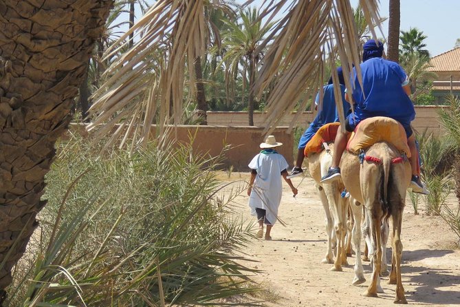 Camel Ride & Quad Biking Half Day in Marrakech - How the Quad and Camel Timing Actually Plays Out