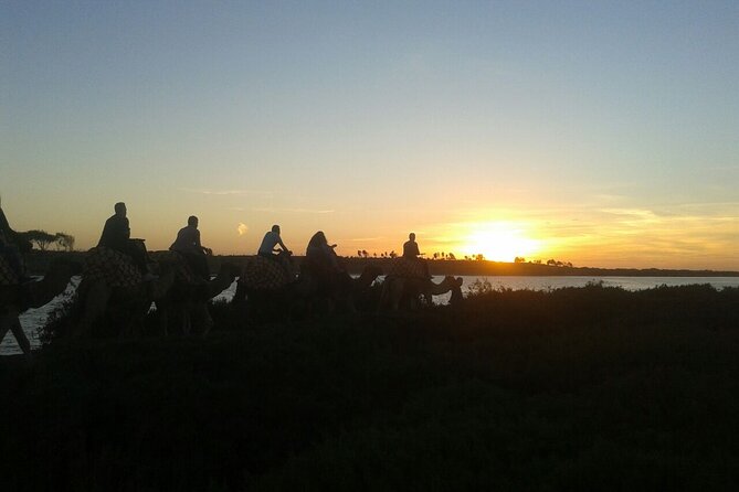Camel ride + sunset + BBQ dinner in Agadir - Key highlights I’d plan around