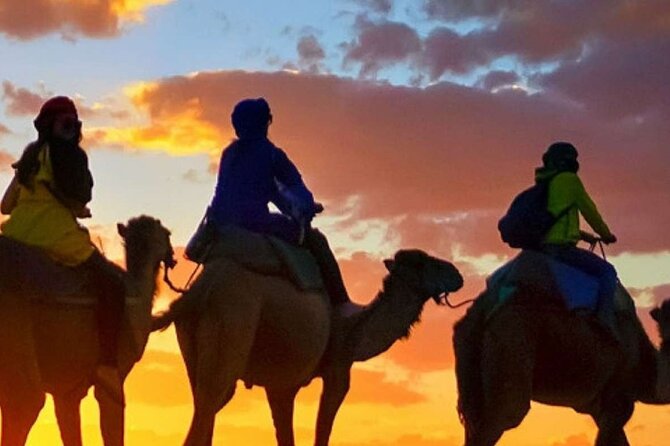 Camel ride + sunset + BBQ dinner in Agadir - Getting picked up and reaching the ranch on time