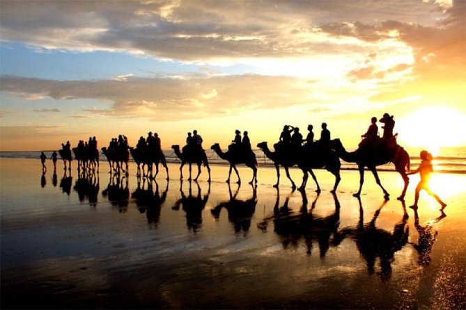 Camel Riding Agadir - Key Highlights You’ll Care About
