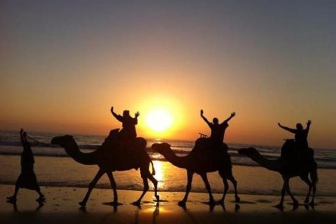 Camel Riding Agadir - Why Agadir Camels Feel Different With the Souss Massa River